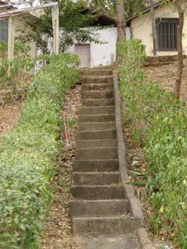 dsc00329.jpg