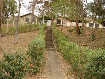 dsc00330.jpg